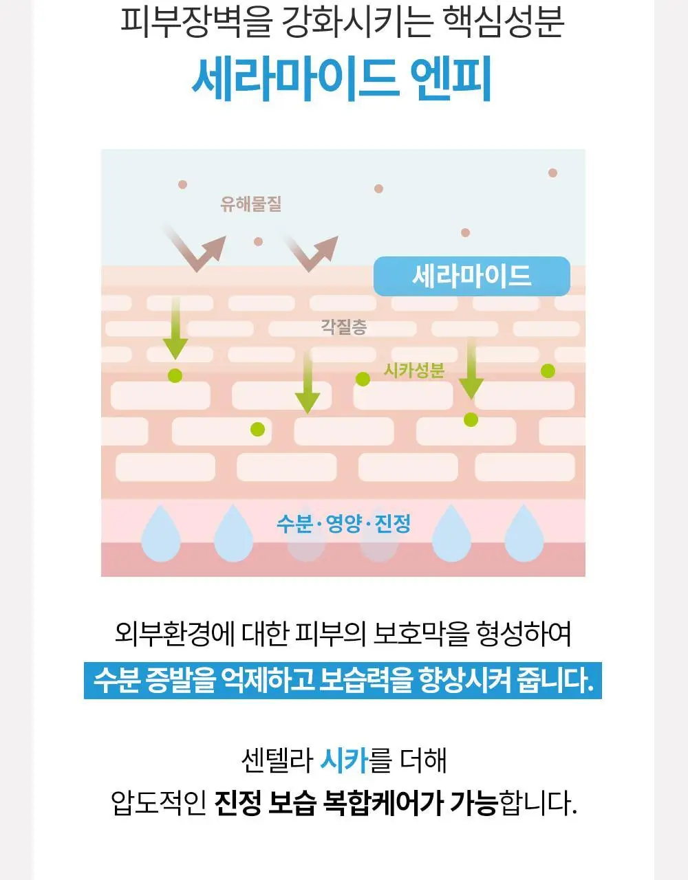 [리우 PICK][1등크림/올영단독] 더하르나이 시카이드 크림 100ml+30ml 기획 상세페이지 17